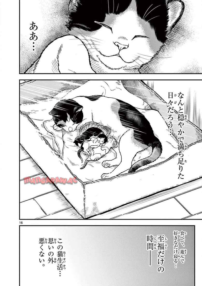 P16