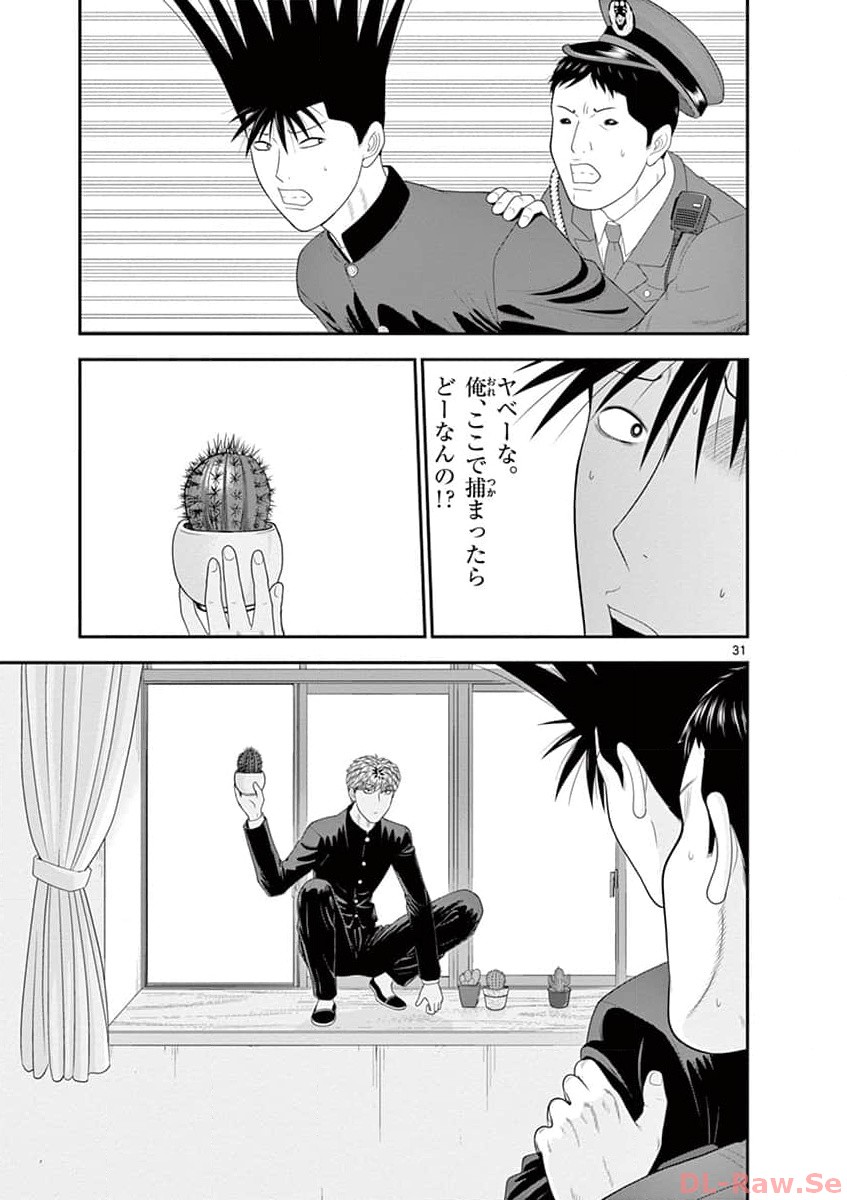 P31