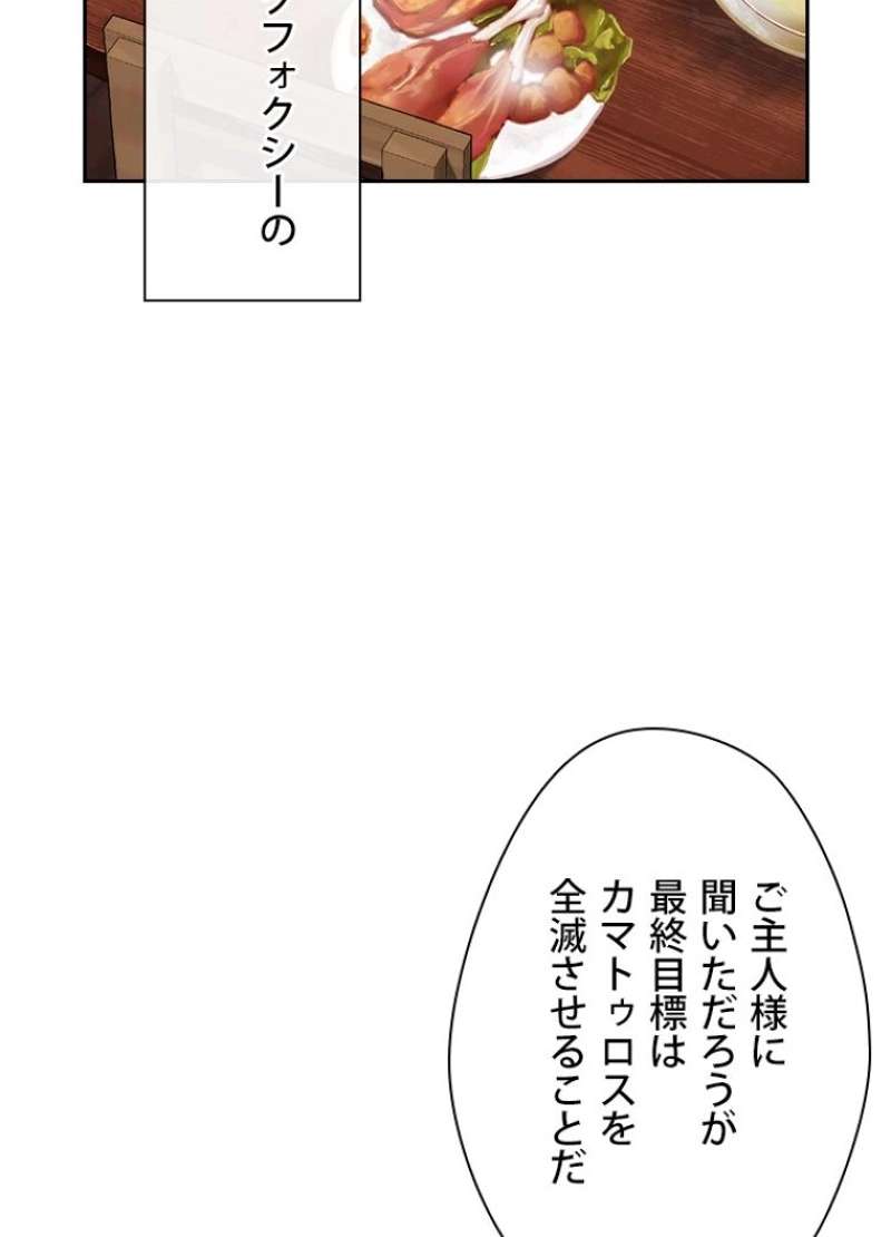 P58