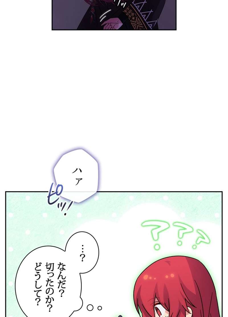 P41