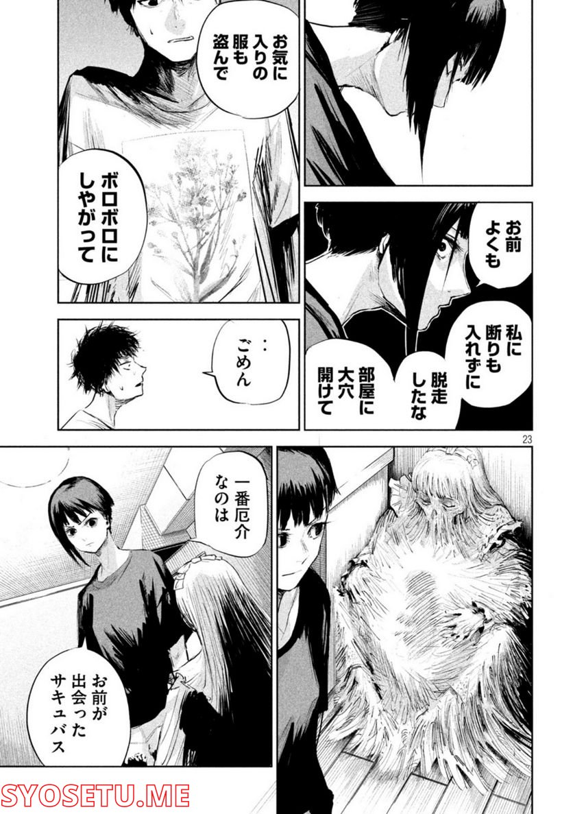 P23