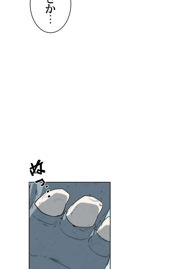 P113