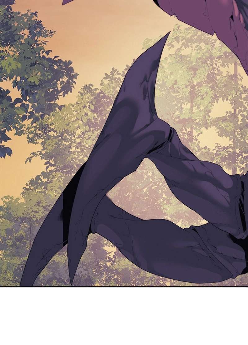 P53