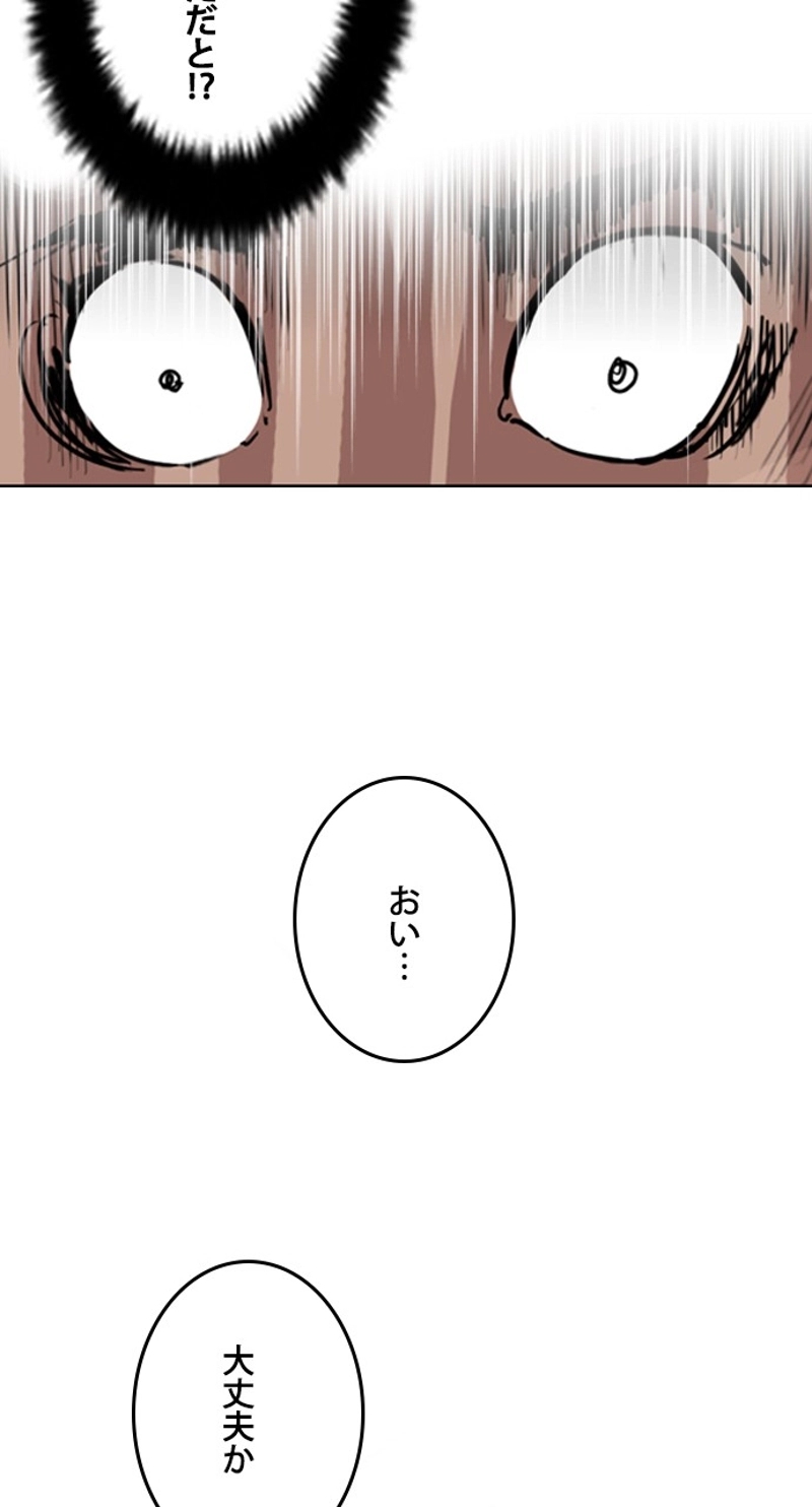 P53