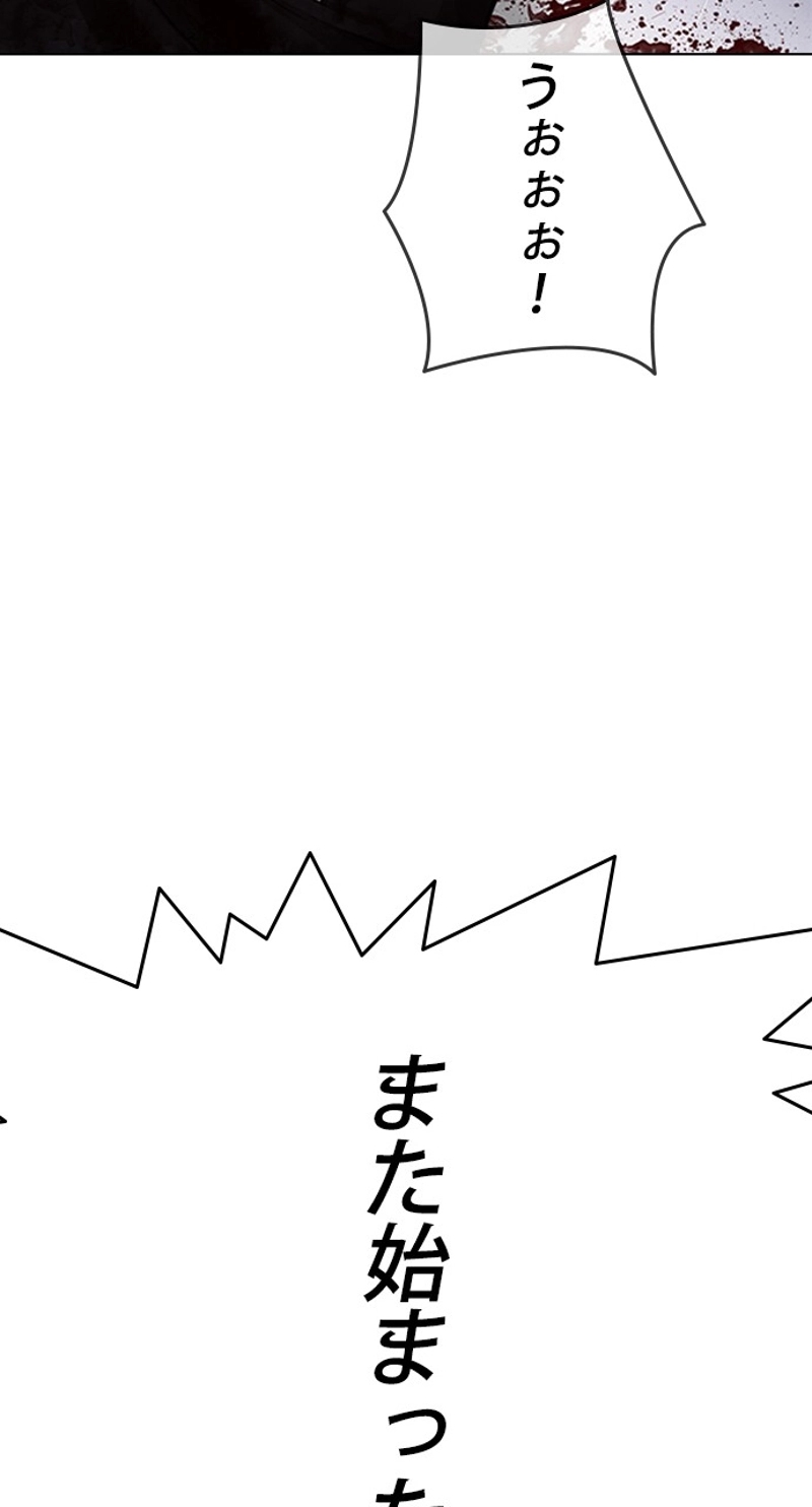 P66