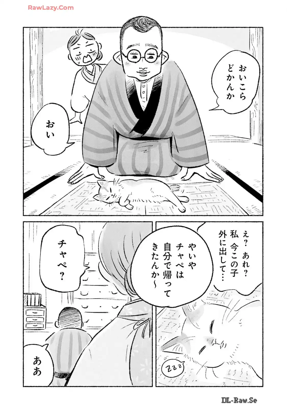 P29