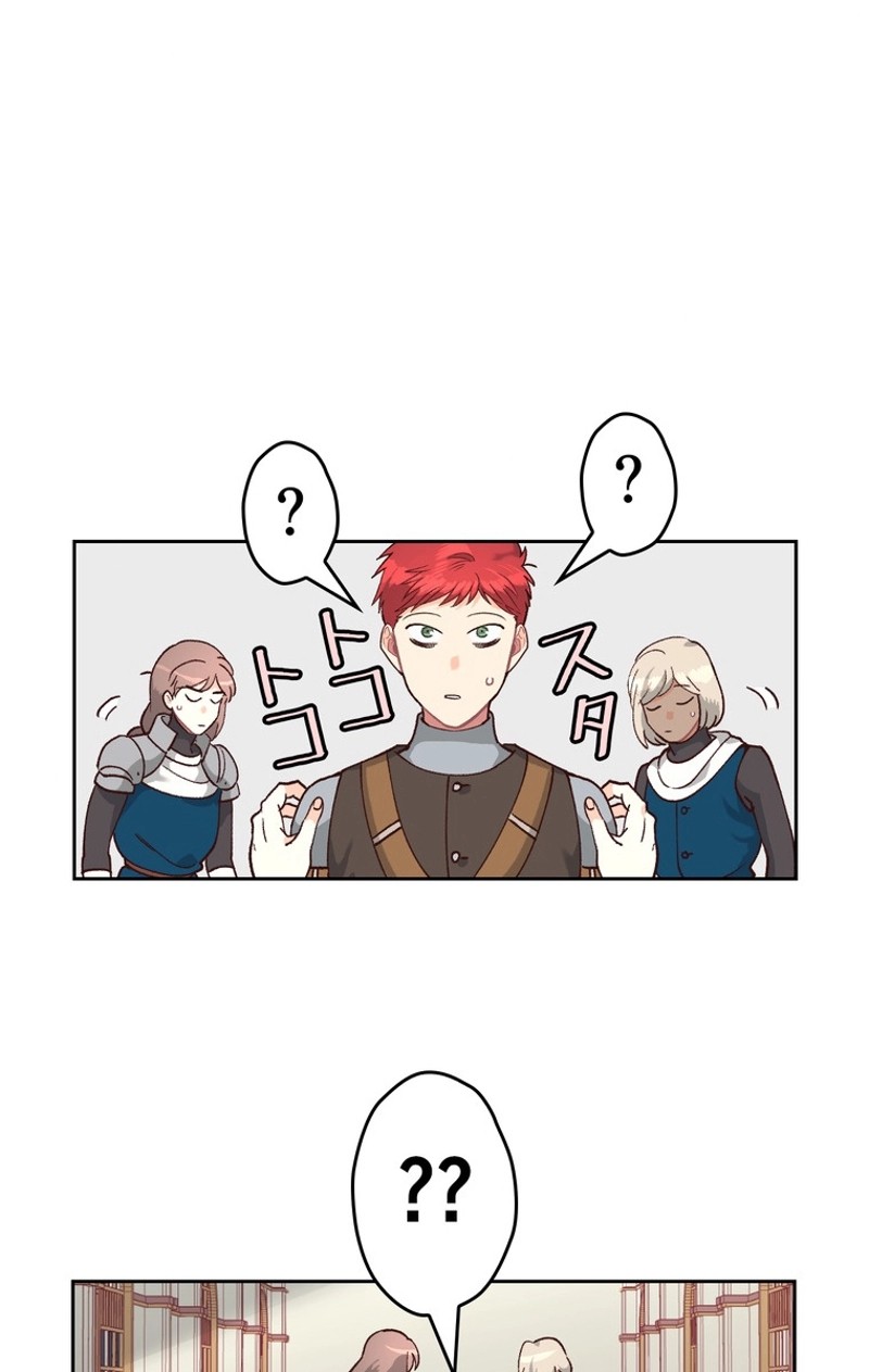 P63