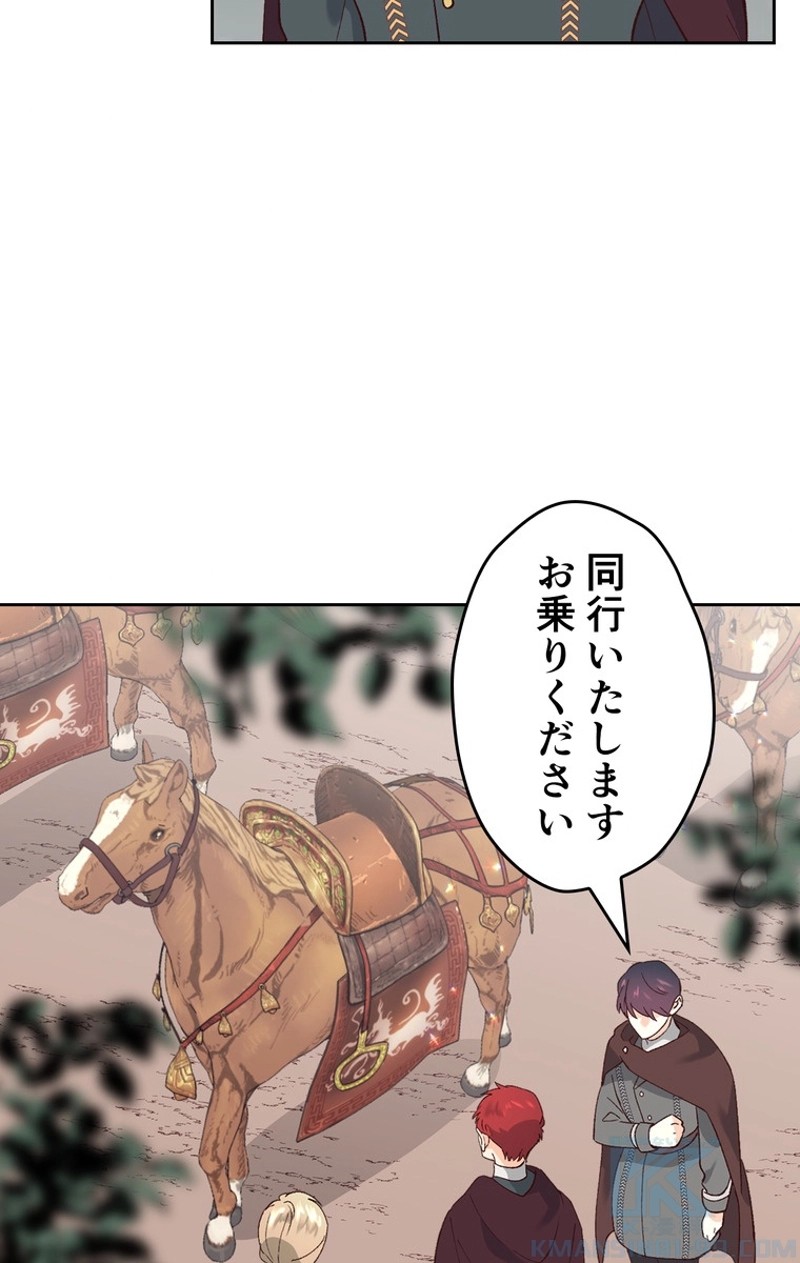 P41
