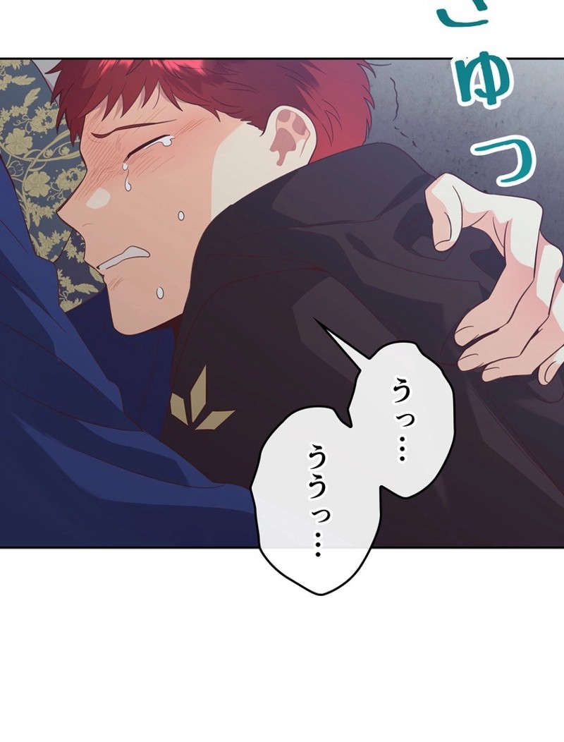 P66