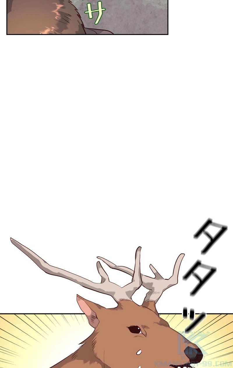 P53