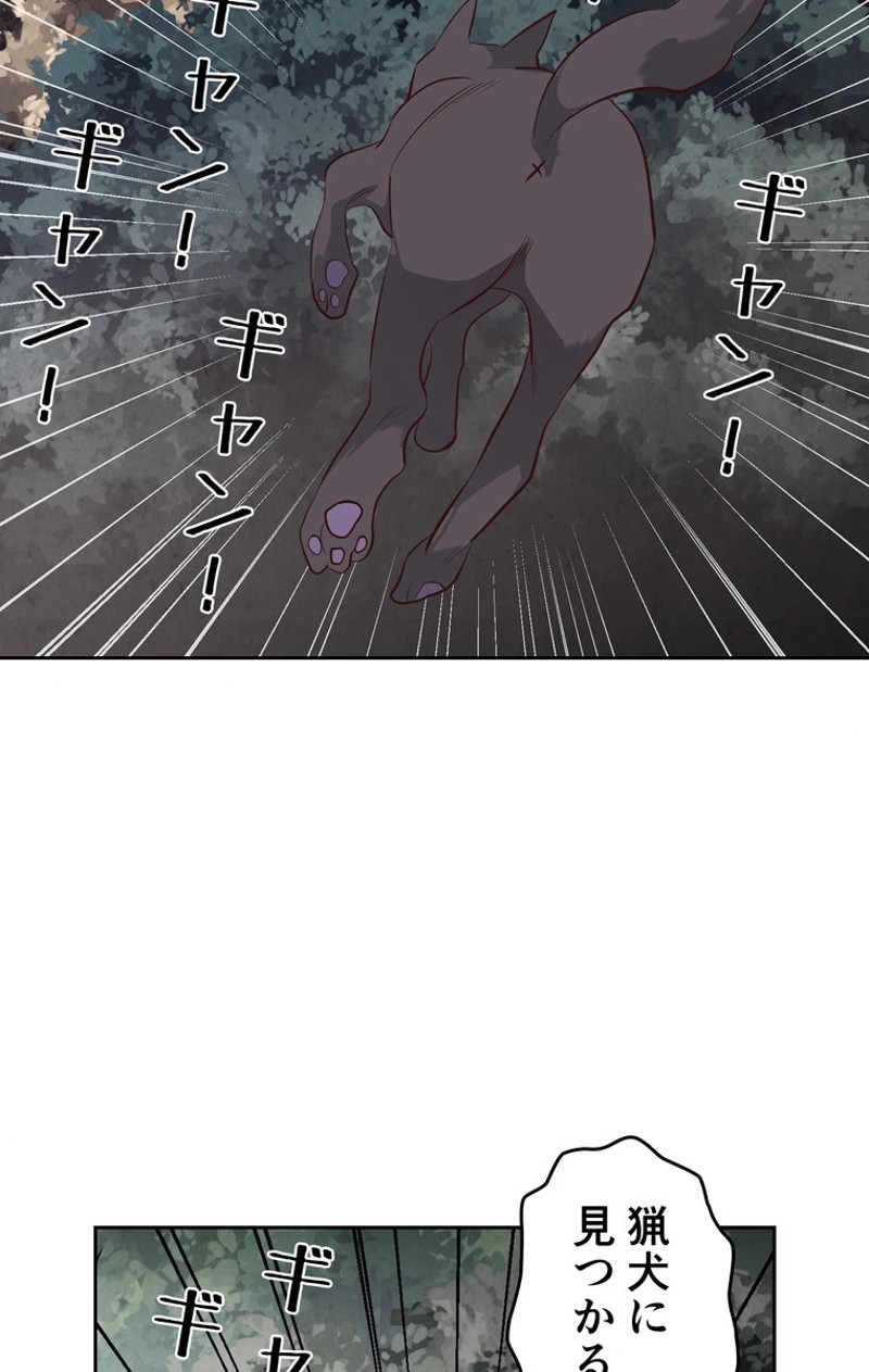 P64