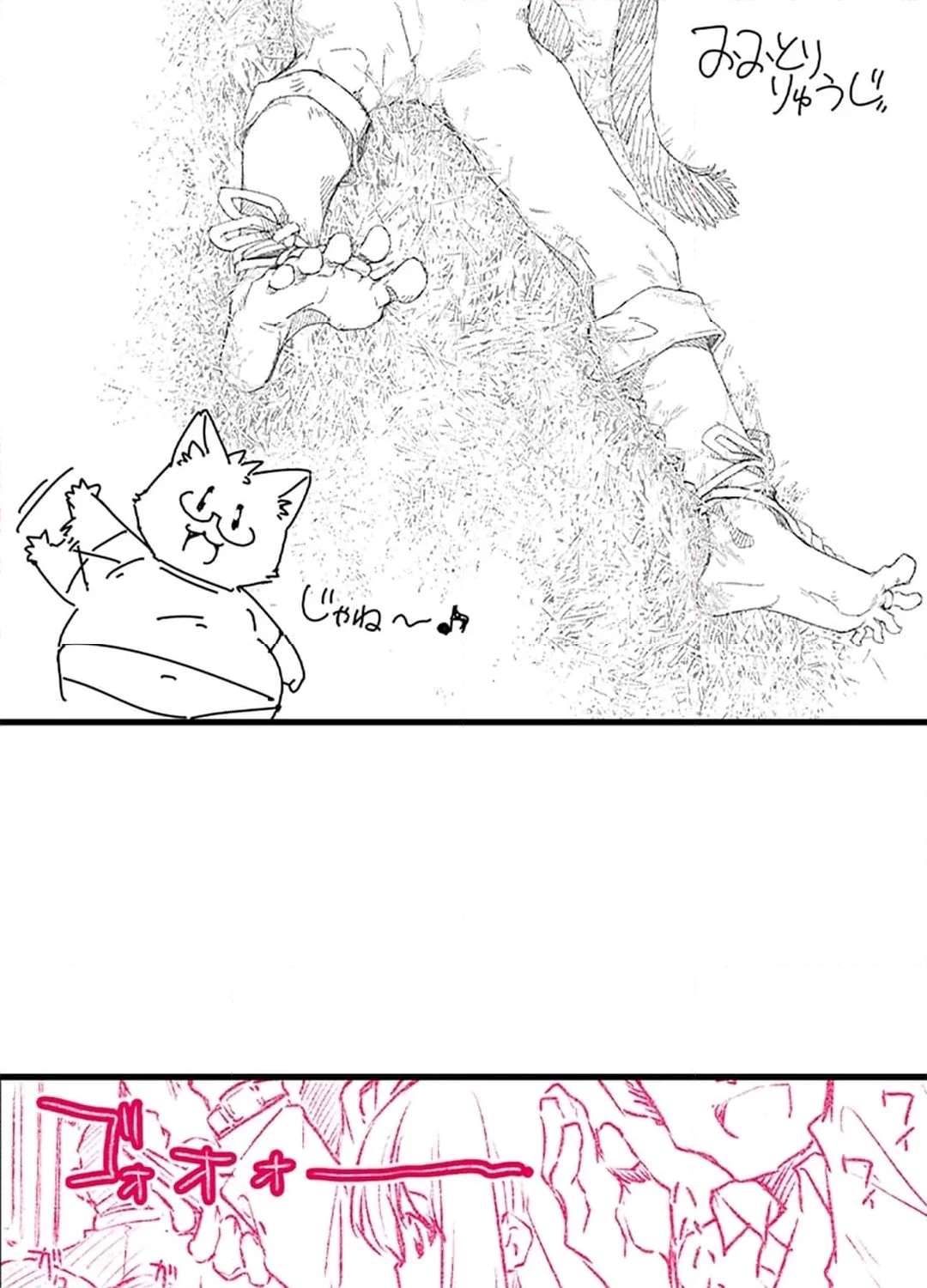 P66