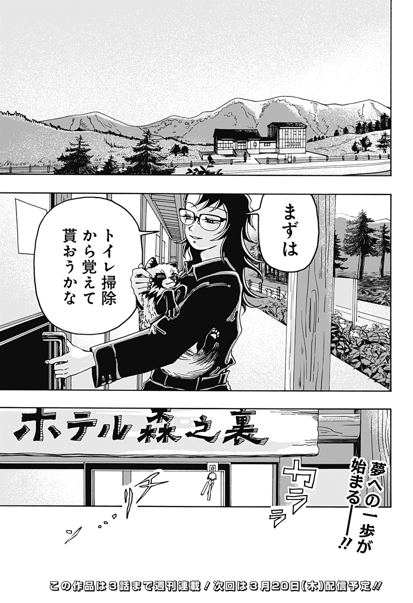 P61