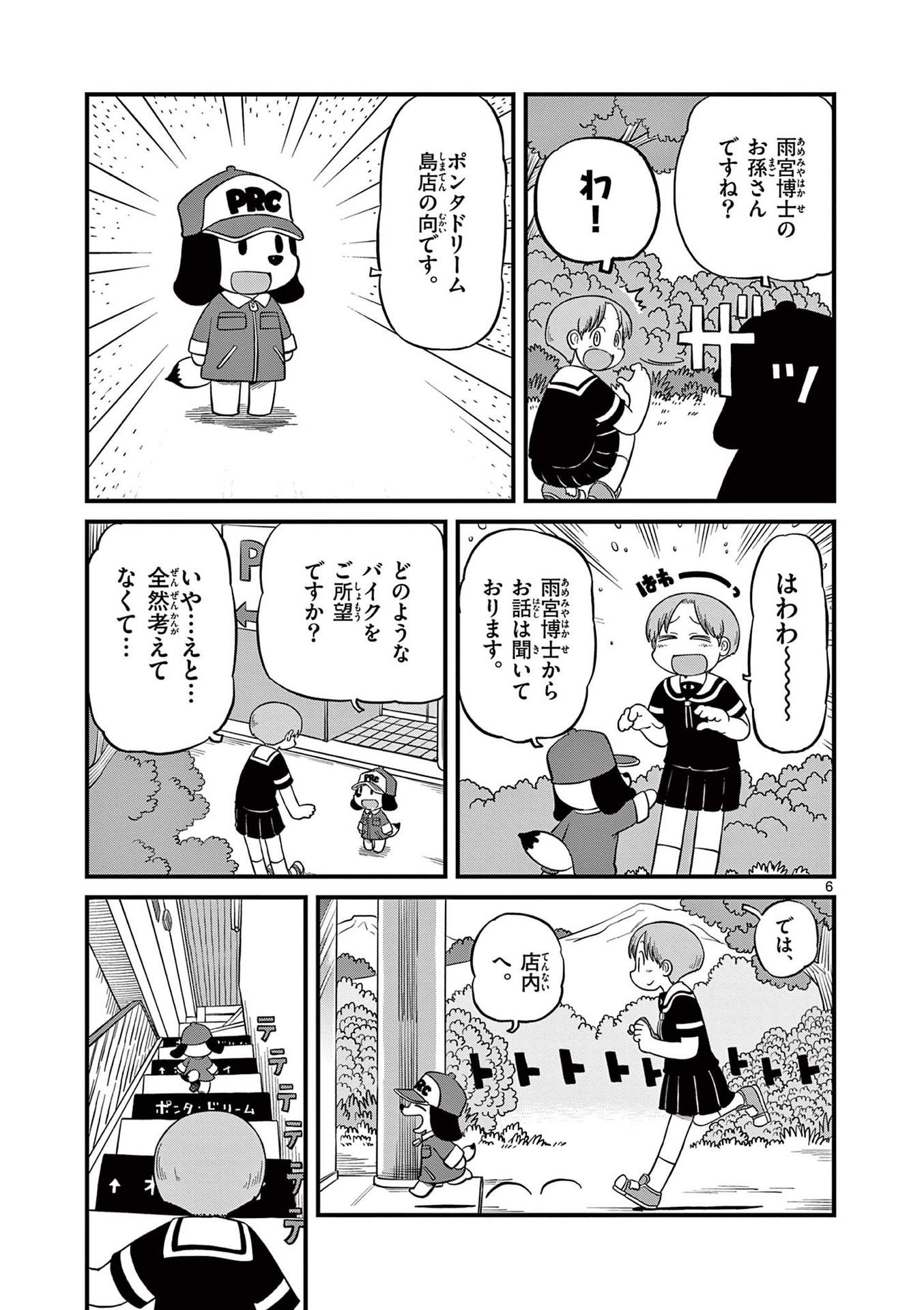 P6