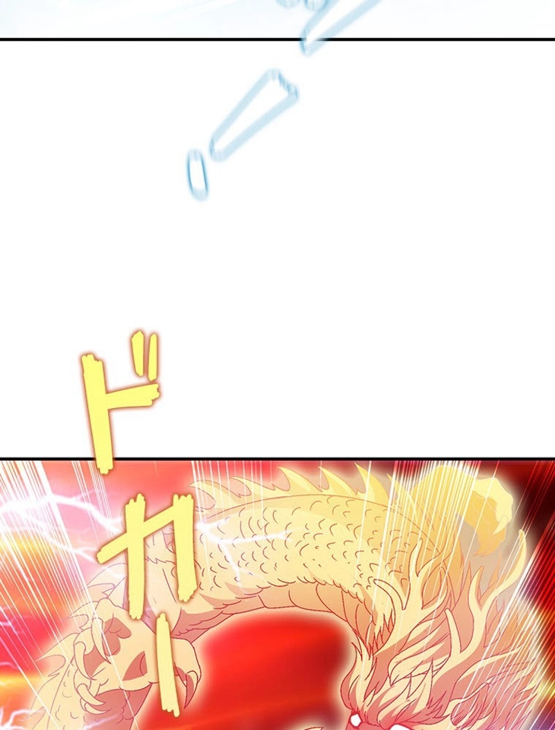 P24