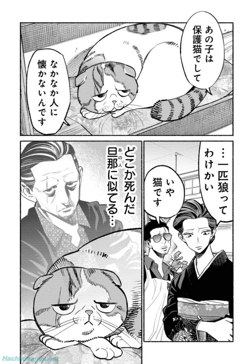 P11