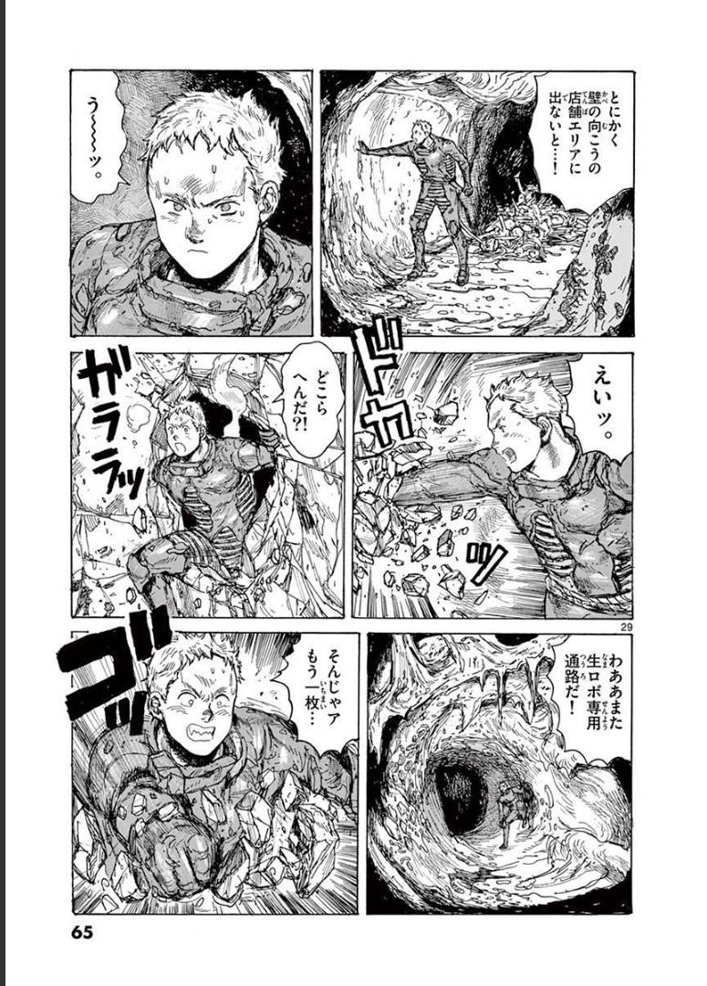 P29