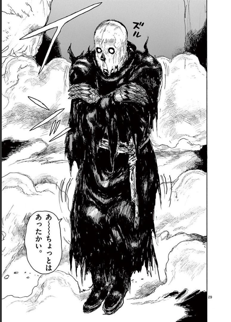 P29