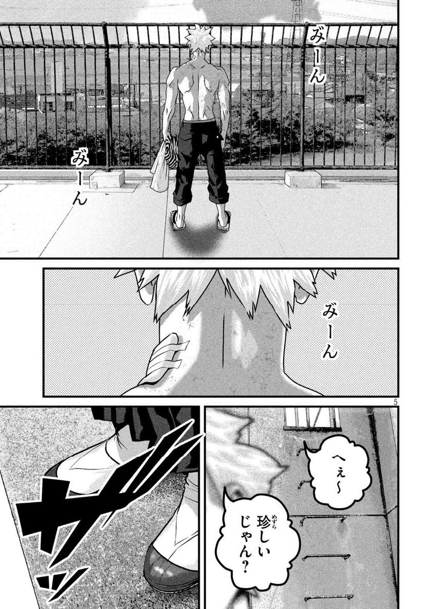 P5