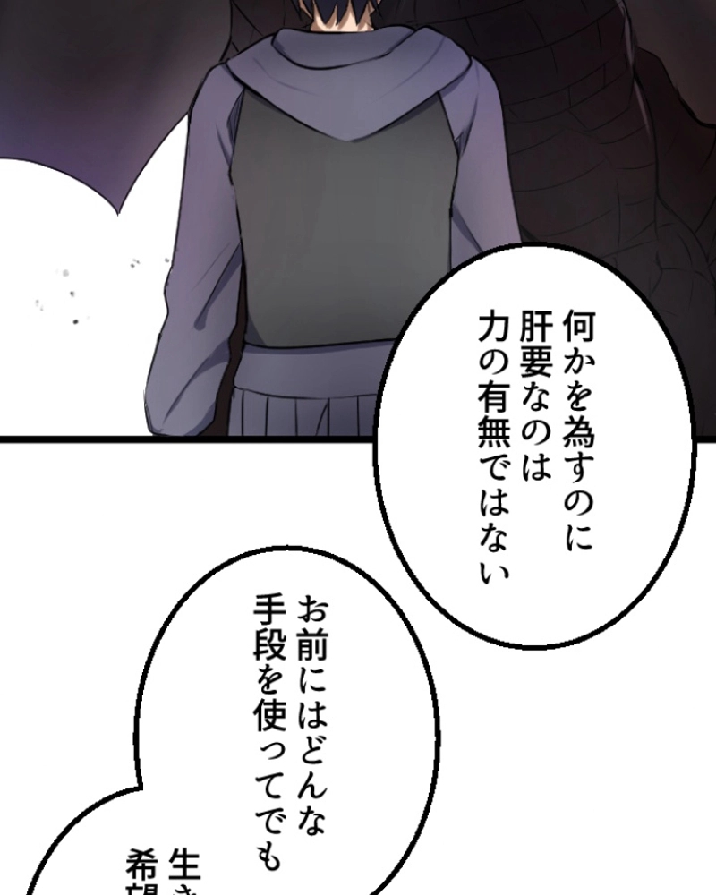 P24