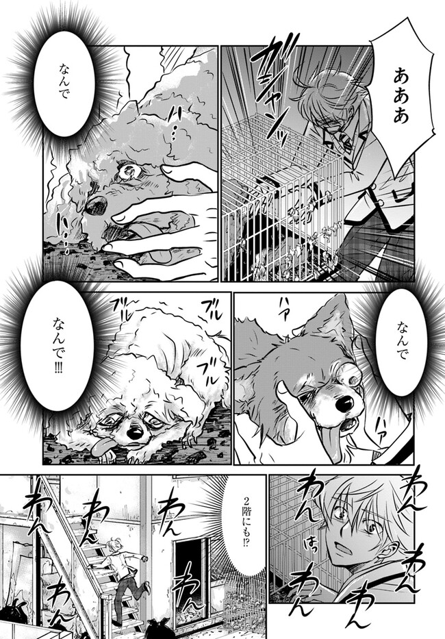 P11