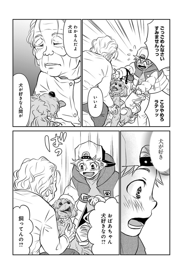 P6