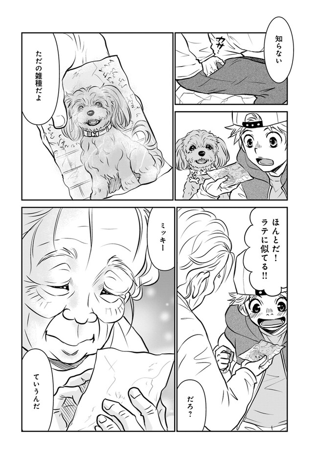 P8