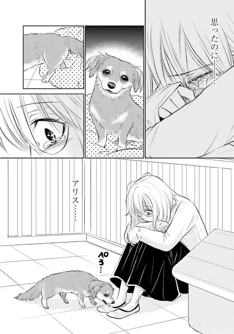 P22