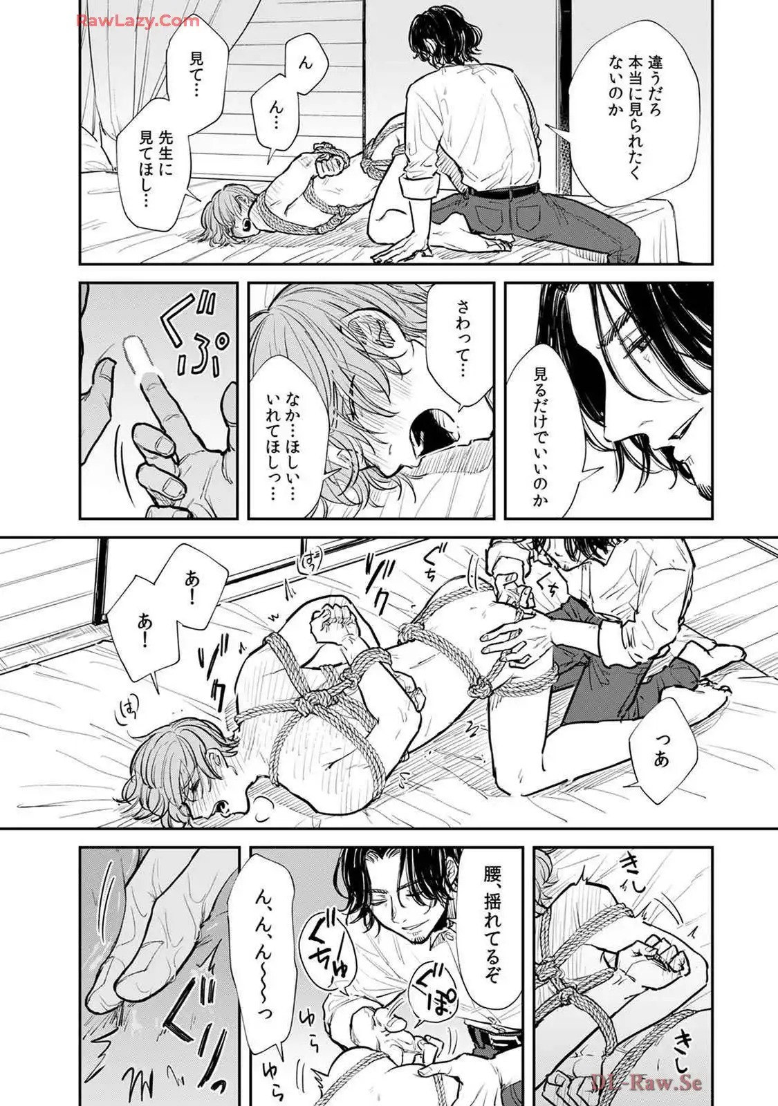 P26