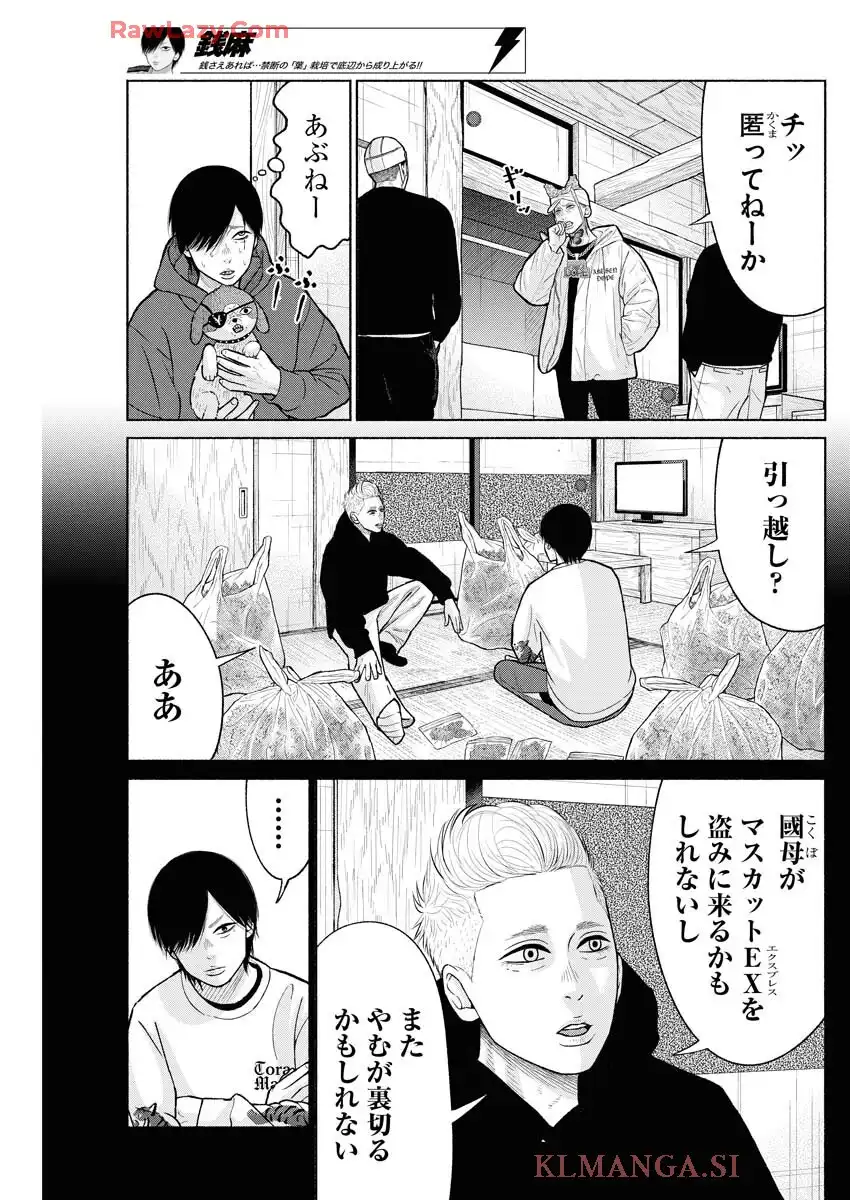 P19