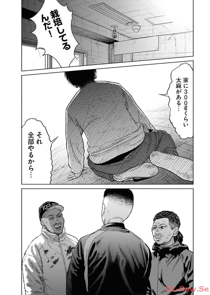 P23
