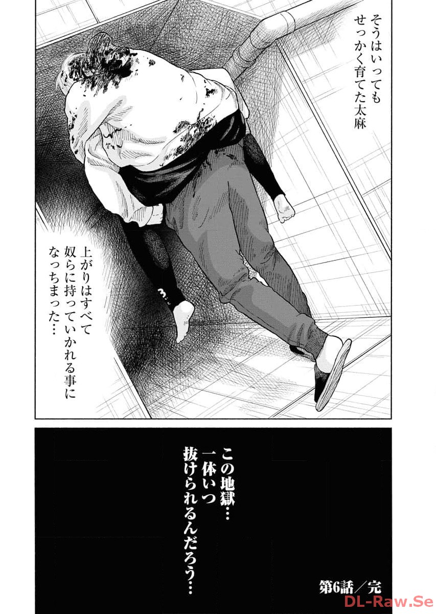 P26