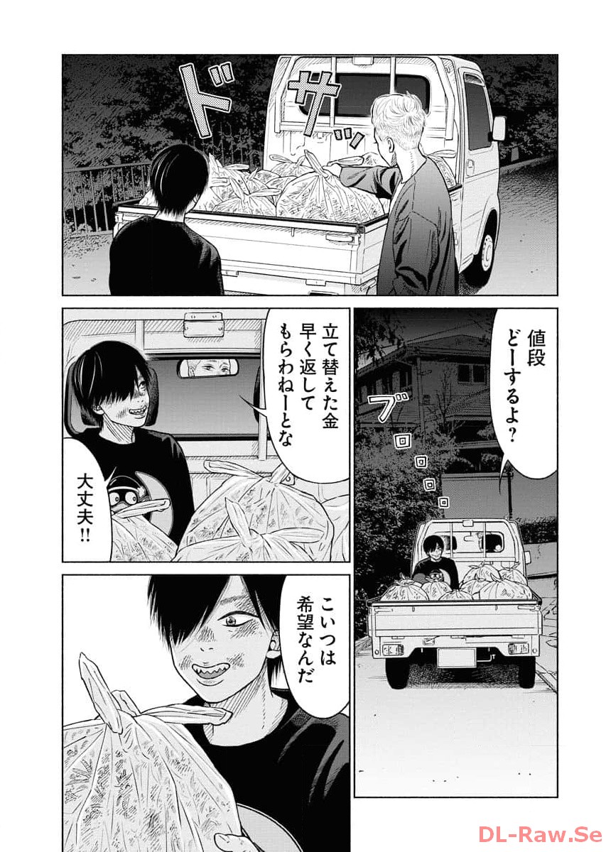 P23