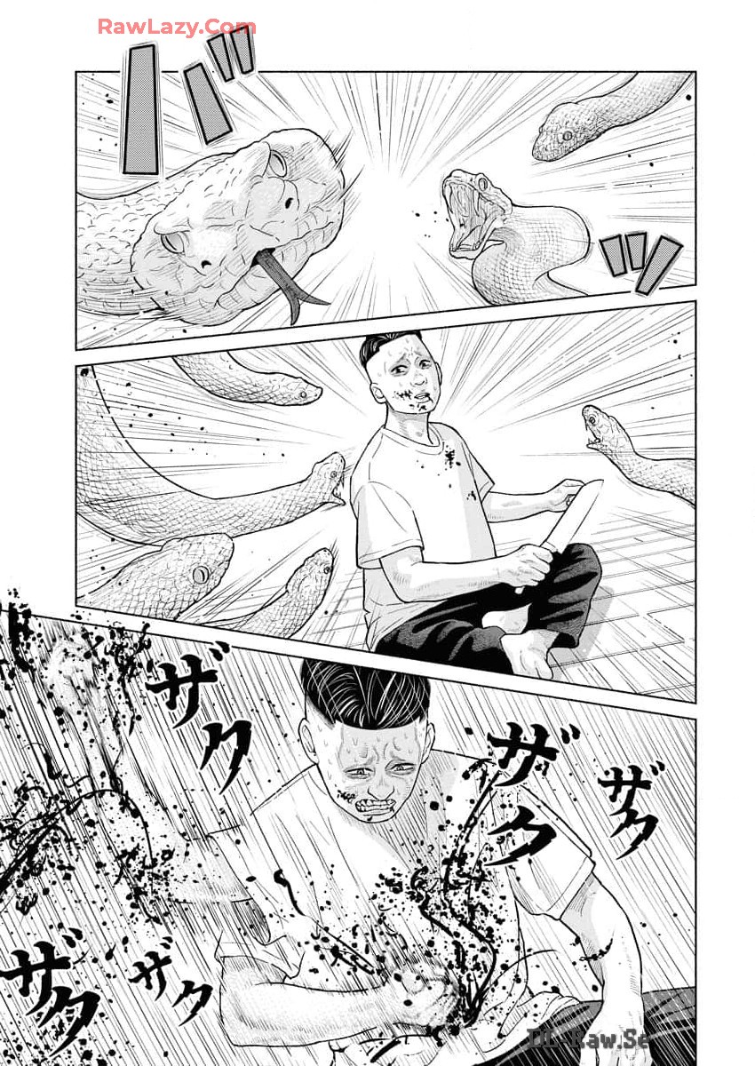 P21