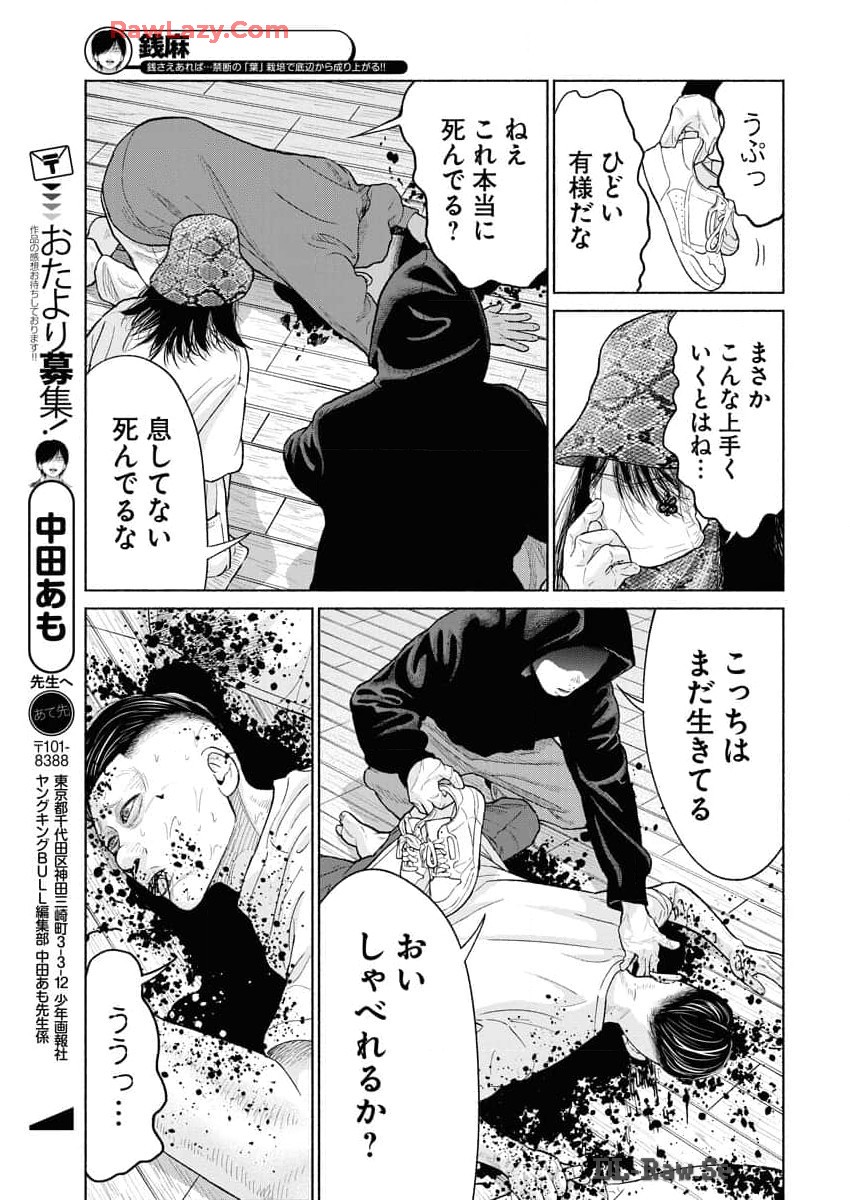 P23