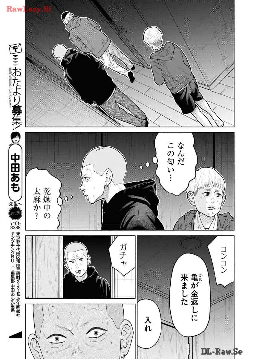 P23