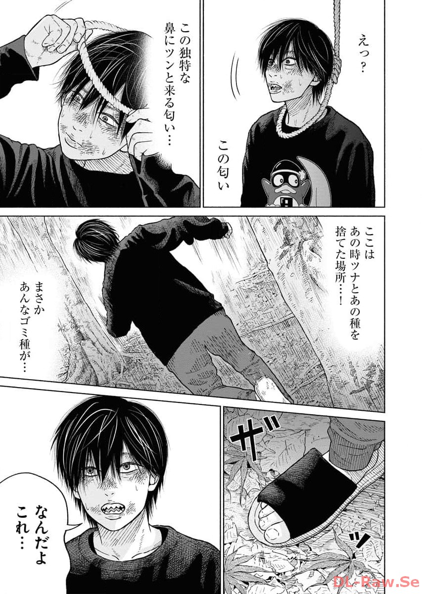 P25