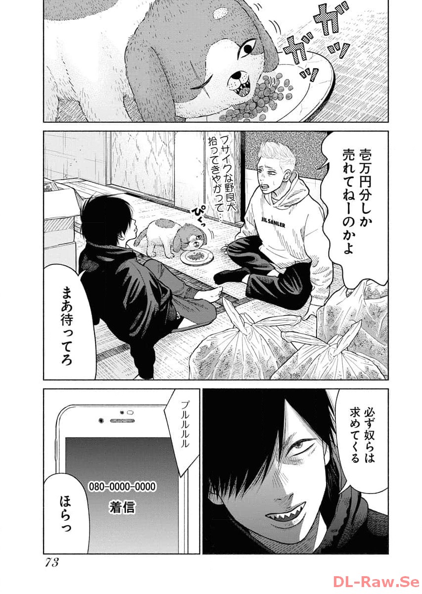 P21