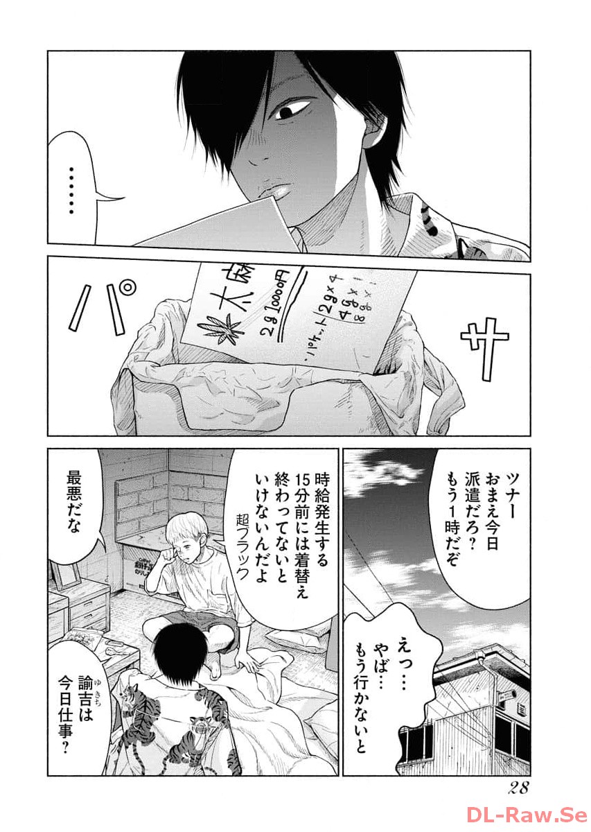P26