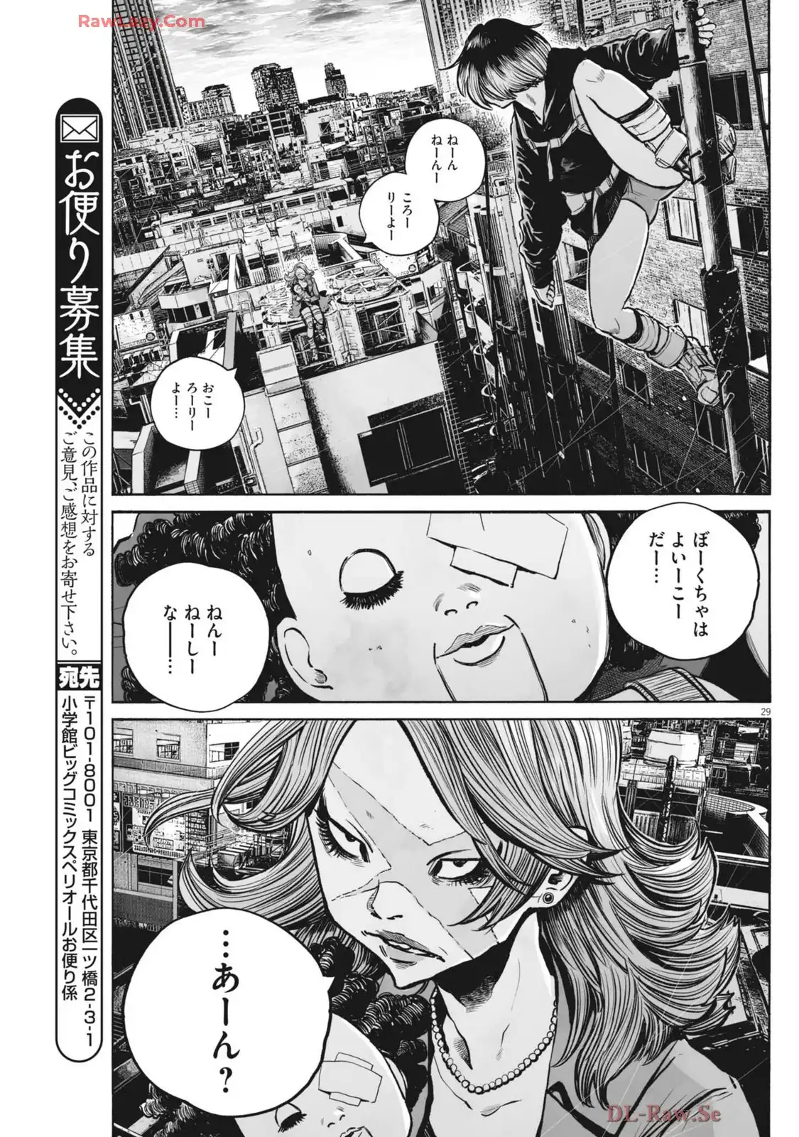 P29