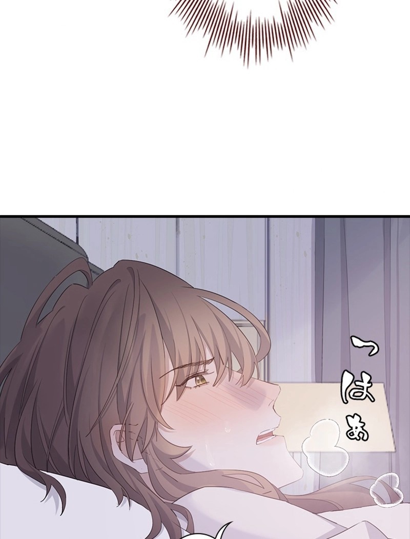 P66