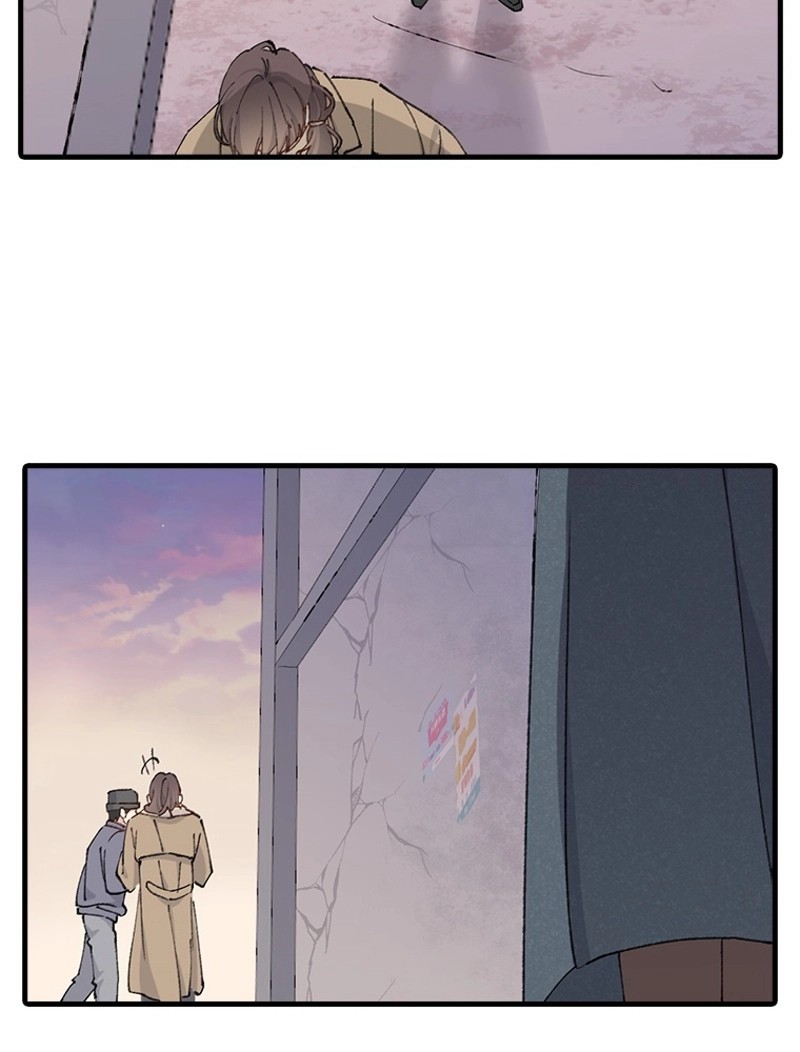 P53