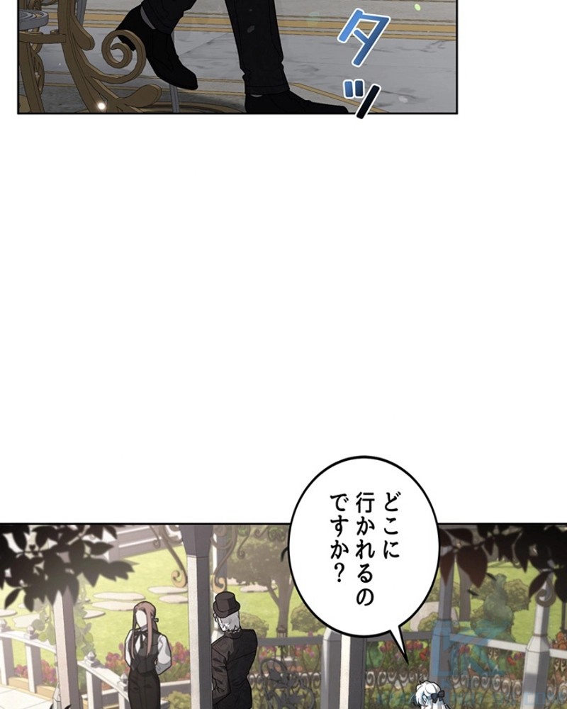 P64