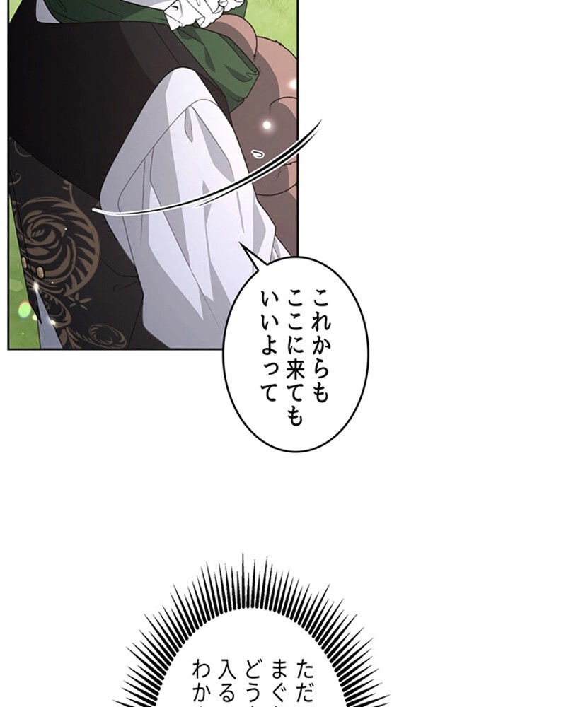 P65