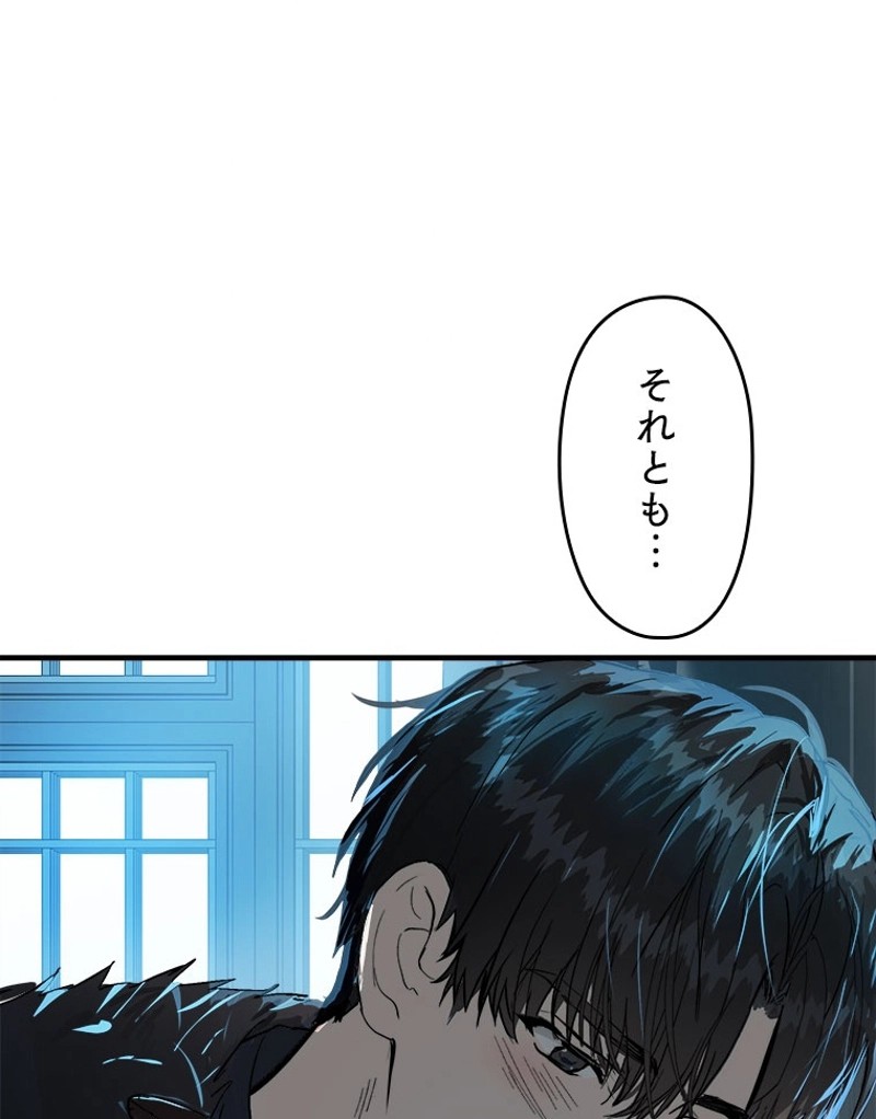 P63