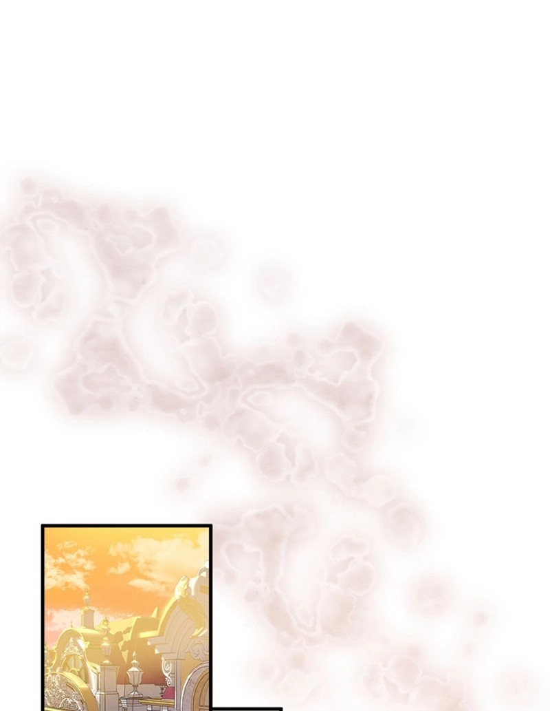 P51