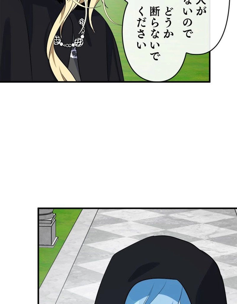 P113