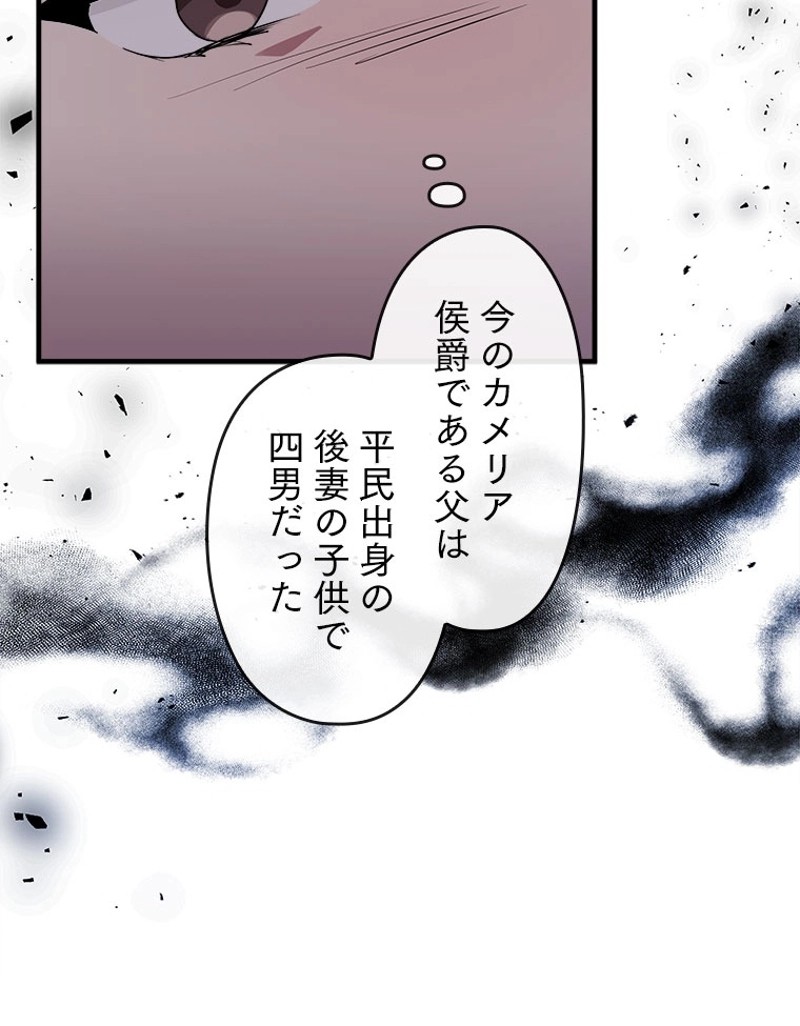 P66
