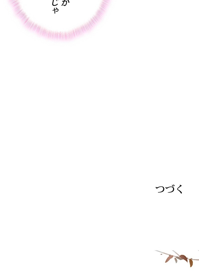 P66