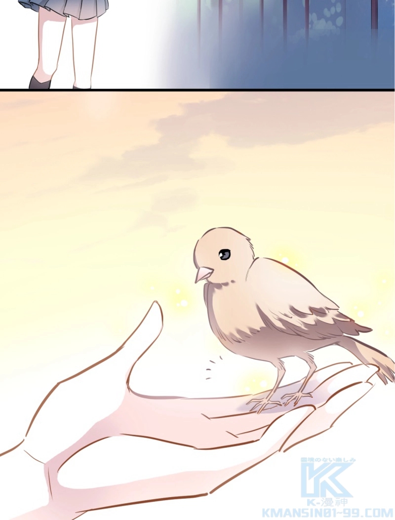 P37